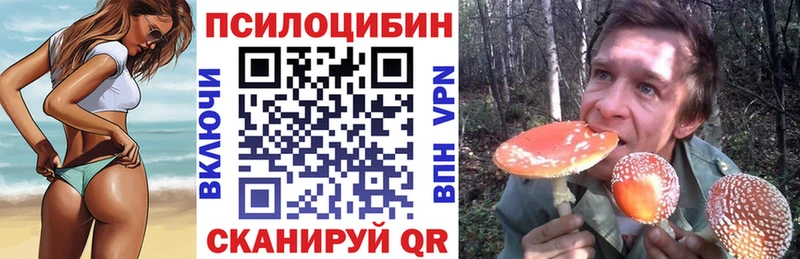 OMG   Кулебаки  Галлюциногенные грибы Psilocybine cubensis 